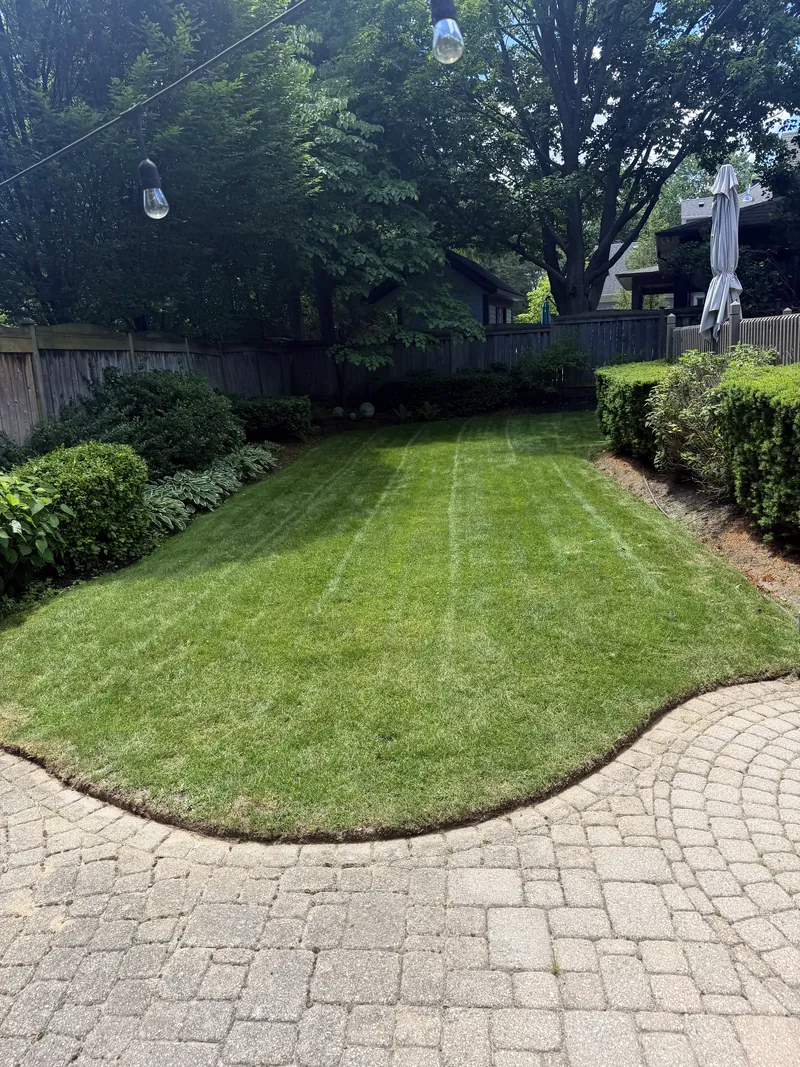 Mown and hard-edged lawn meeting a curved paver apron on a maintained property.