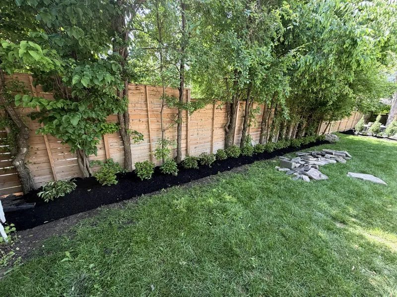 Mature deciduous trees underplanted with shrubs in a fresh mulch bed beside a flagstone path.