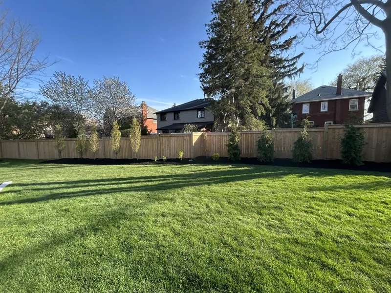 A large newly sodded back lawn running to a board fence with young cedars planted along it.